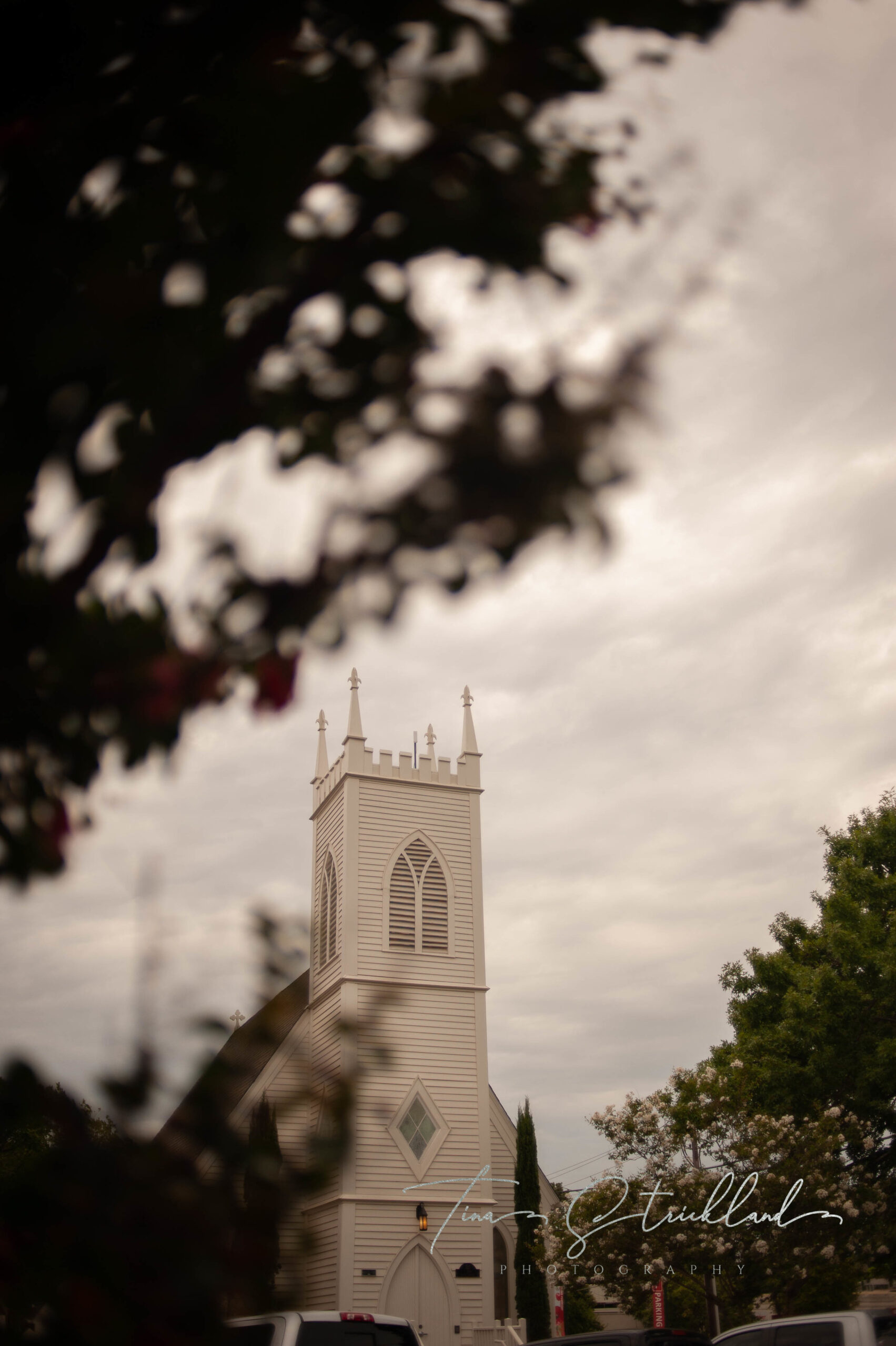 Tina Strickland_Photo Walk_Georgetown-1.JPG