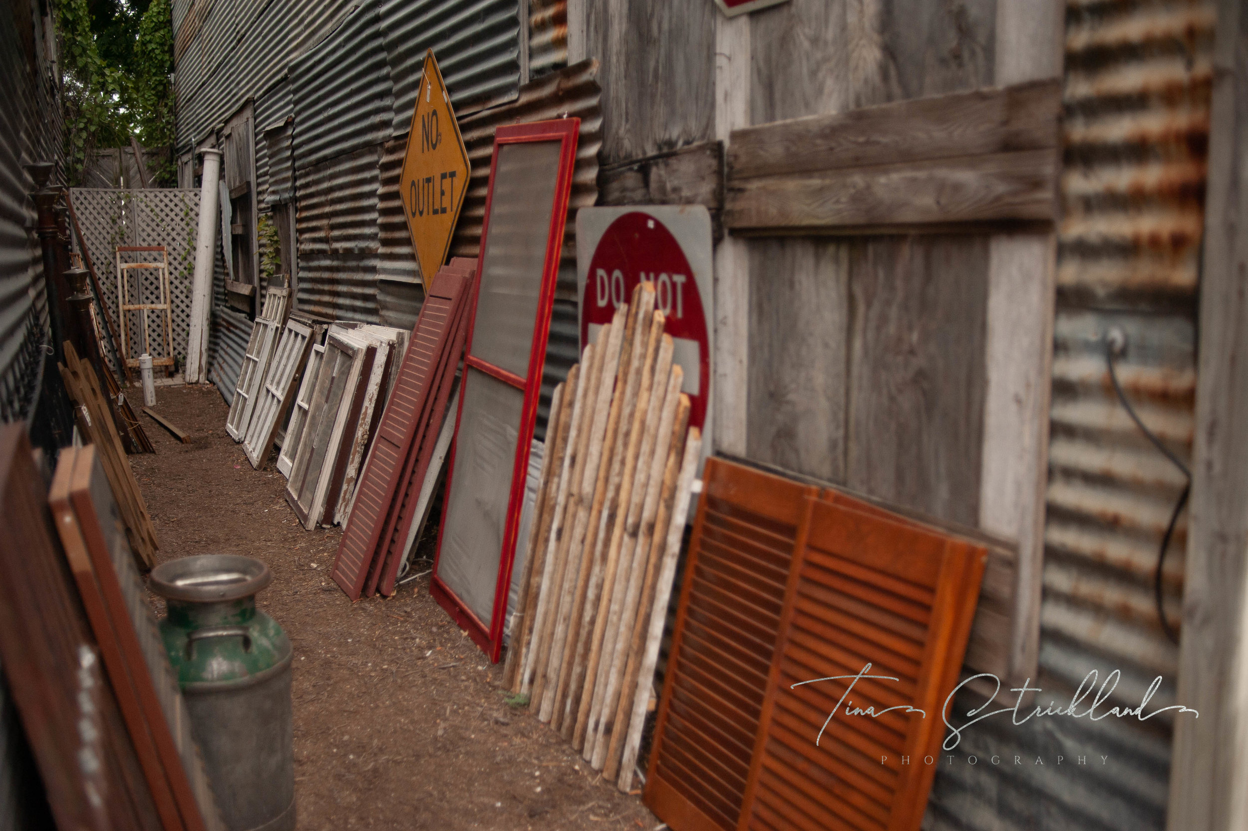 Tina Strickland_Photo Walk_Georgetown-5.JPG